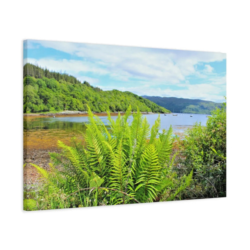 Salen bay loch sunart - loch,