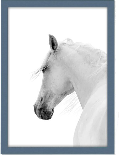 Large thin photo - large,